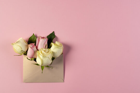 Fototapeta White and pink rose flowers in brown envelope and copy space on pink background