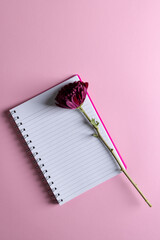 Vertical image of purple flower on notebook and copy space on pink background