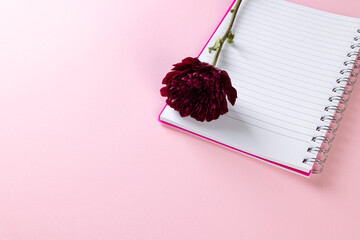 Purple flower on notebook and copy space on pink background