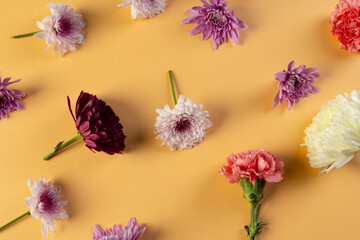 White, red and pink flowers with copy space on orange background