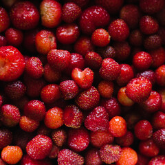 Strawberry berry background close-up