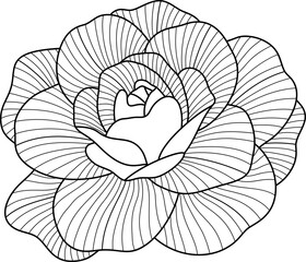 Rose flower black line art 