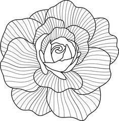 Rose flower black line art 