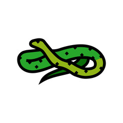 green tree python animal snake color icon vector. green tree python animal snake sign. isolated symbol illustration