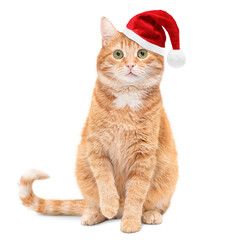 cute sitting ginger cat in Santa hat on white isolated background