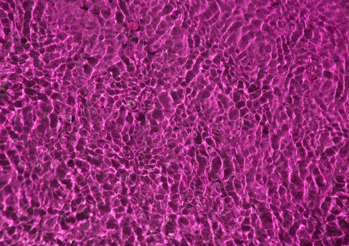 Abstract background with magenta waves and ripples