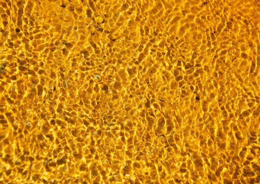 Abstract background with golden waves. golden ripple