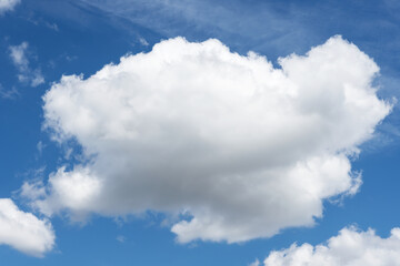 Cumulus cloud in blue sky, white fluffy cloud floating in blue sky, cumulus cloud template