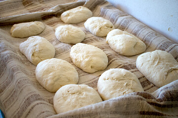 Bread doughs fermenting before being kneaded