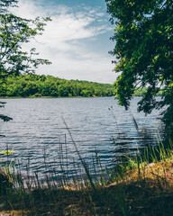 A big lake in the middle of the forest with trees in the frame