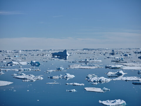Melting glacial ice chunks floating on sunny ocean surface, Antarctic Peninsula, Antarctica
