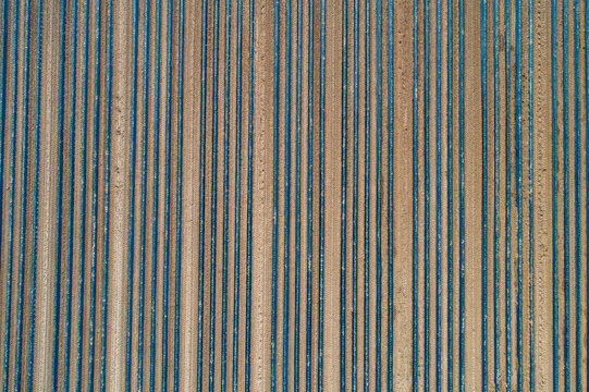 Aerial view polyethylene tunnels in rows in agricultural field, Darmstadt, Germany
