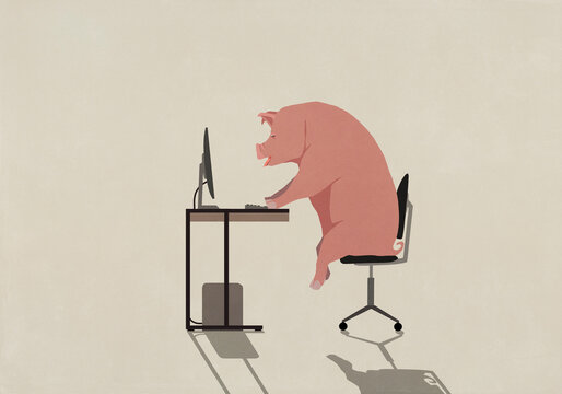 Pig working at computer in office
