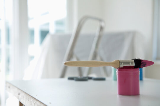 Fuchsia pink tester paint brush and ladder
