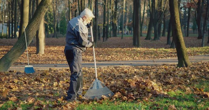 Senior man in uniform and gloves using gardening rake for removing dry leaves at city park. Janitor cleaning city area alone outdoors.