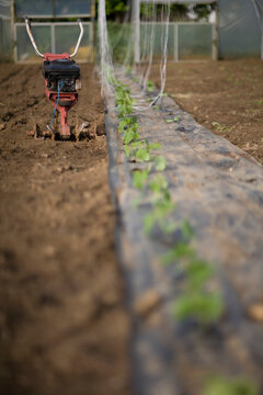Plants seedlings with garden implement
