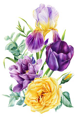 Obraz na płótnie Canvas Beautiful flowers on isolated white background, iris, tulip, hyacinth, green leaves, watercolor botanical bouquet