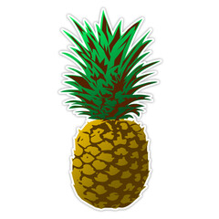 pineapple stickers illustration