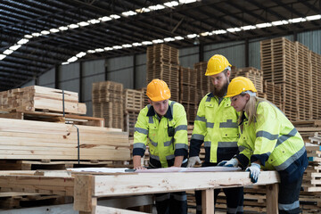 Male and female warehouse workers working and inspecting quality of plank of wood on shelves pallet...