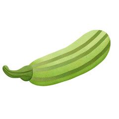 Zucchini