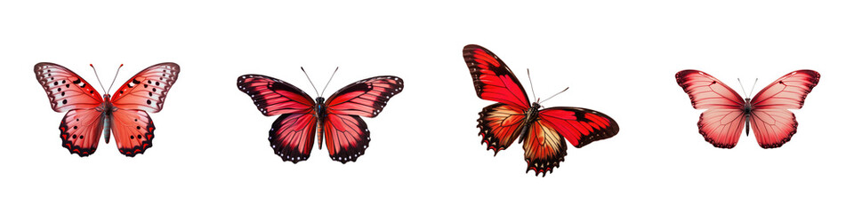 Fototapeta na wymiar Red butterfly with beautiful lower wings flying up against transparent background