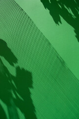 Deep shadow from the leaves of the tree and net on green background. Abstract aesthetic minimal spring or summer background. Soft natural silhouette. Space for text. Copy space. Muted hues