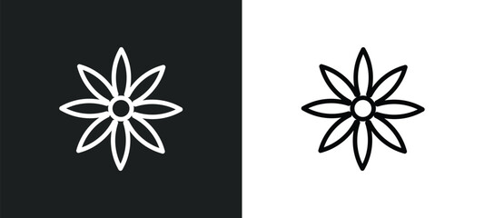 anise icon isolated in white and black colors. anise outline vector icon from india collection for web, mobile apps and ui.