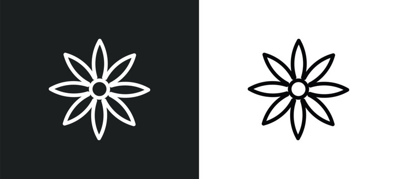anise icon isolated in white and black colors. anise outline vector icon from india collection for web, mobile apps and ui.