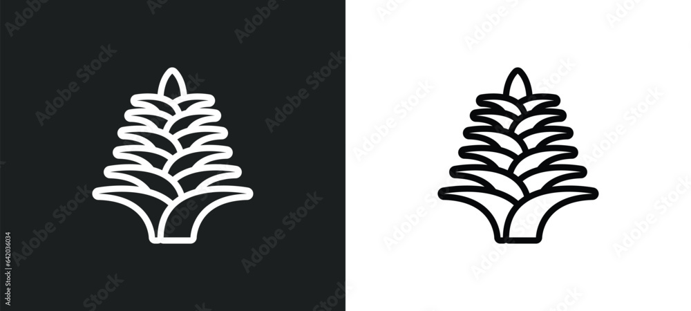 Poster yucca icon isolated in white and black colors. yucca outline vector icon from nature collection for 