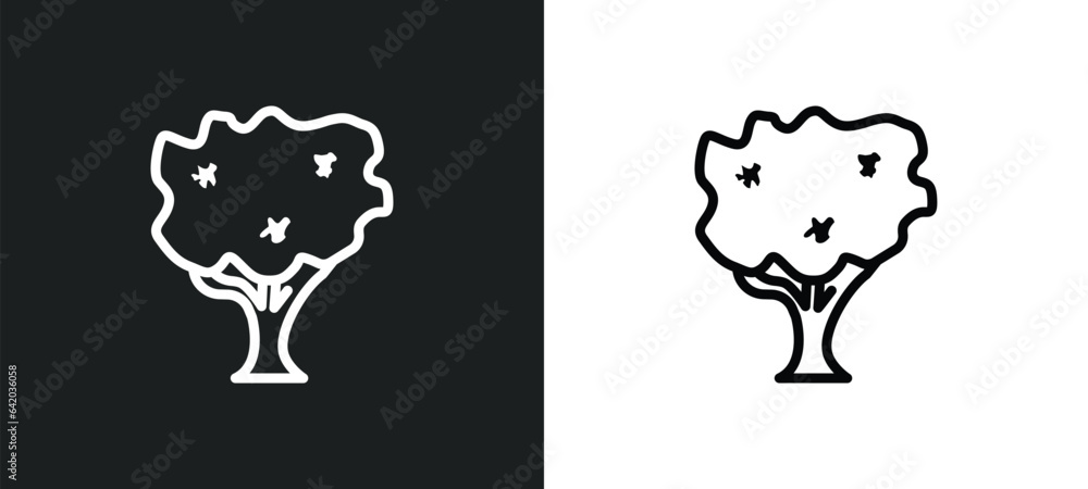 Poster black walnut tree icon isolated in white and black colors. black walnut tree outline vector icon fro