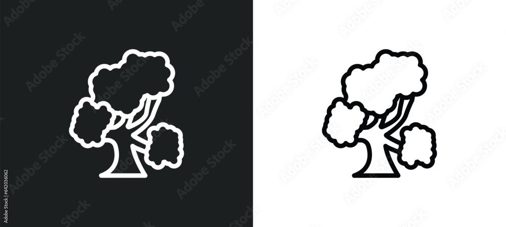 Poster bitternut hickory tree icon isolated in white and black colors. bitternut hickory tree outline vecto