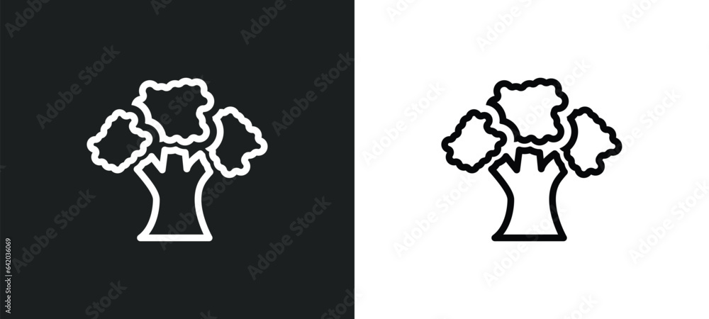 Poster shagbark hickory tree icon isolated in white and black colors. shagbark hickory tree outline vector 