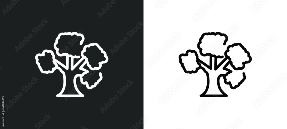 Poster scarlet oak tree icon isolated in white and black colors. scarlet oak tree outline vector icon from 
