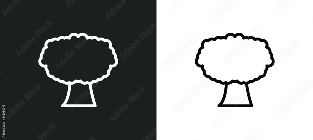 Poster butternut tree icon isolated in white and black colors. butternut tree outline vector icon from natu