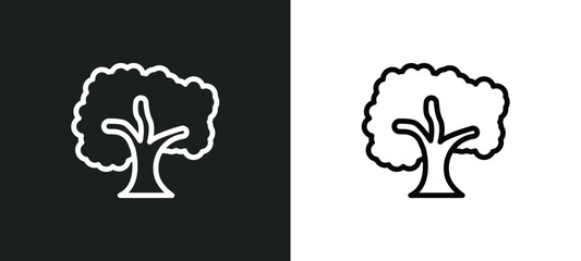 sycamore tree icon isolated in white and black colors. sycamore tree outline vector icon from nature collection for web, mobile apps and ui.