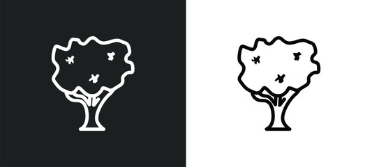 black walnut tree icon isolated in white and black colors. black walnut tree outline vector icon from nature collection for web, mobile apps and ui.