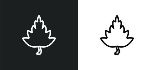 hawthorn tree icon isolated in white and black colors. hawthorn tree outline vector icon from nature collection for web, mobile apps and ui.