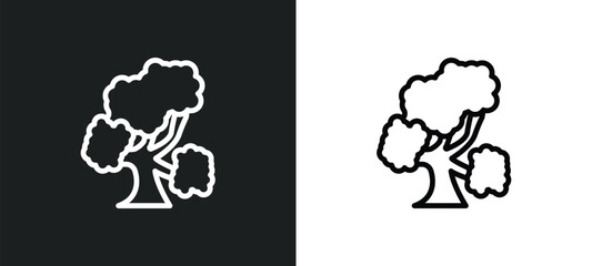 bitternut hickory tree icon isolated in white and black colors. bitternut hickory tree outline vector icon from nature collection for web, mobile apps and ui.