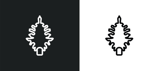 eastern hemlock tree icon isolated in white and black colors. eastern hemlock tree outline vector icon from nature collection for web, mobile apps and ui.