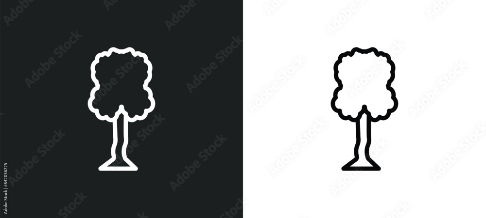 Poster honey-locust tree icon isolated in white and black colors. honey-locust tree outline vector icon fro