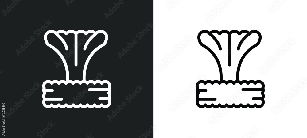 Poster bomb explosion icon isolated in white and black colors. bomb explosion outline vector icon from mete