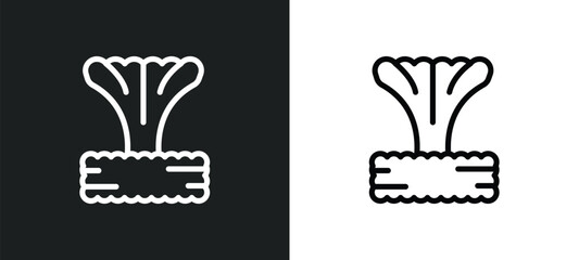 bomb explosion icon isolated in white and black colors. bomb explosion outline vector icon from meteorology collection for web, mobile apps and ui.