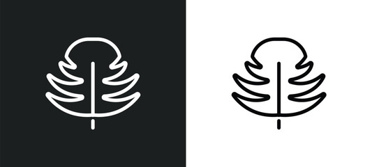 leaf monstera icon isolated in white and black colors. leaf monstera outline vector icon from nature collection for web, mobile apps and ui.