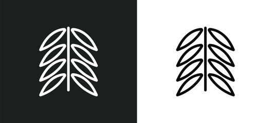 black willow icon isolated in white and black colors. black willow outline vector icon from nature collection for web, mobile apps and ui. - obrazy, fototapety, plakaty