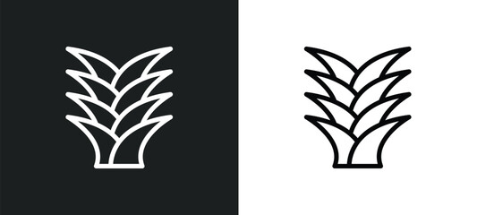 yucca icon isolated in white and black colors. yucca outline vector icon from nature collection for web, mobile apps and ui. - obrazy, fototapety, plakaty