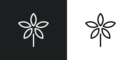 palmatelly icon isolated in white and black colors. palmatelly outline vector icon from nature collection for web, mobile apps and ui.