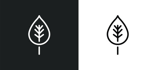 birch leaf icon isolated in white and black colors. birch leaf outline vector icon from nature collection for web, mobile apps and ui.
