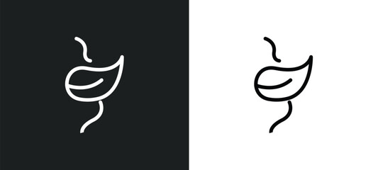 Fototapeta premium perfoliate icon isolated in white and black colors. perfoliate outline vector icon from nature collection for web, mobile apps and ui.
