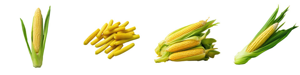 transparent background baby corn isolated