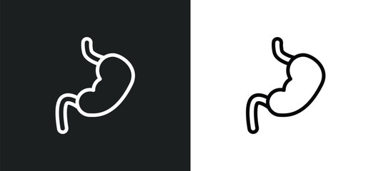 stoh icon isolated in white and black colors. stoh outline vector icon from medical collection for web, mobile apps and ui.
